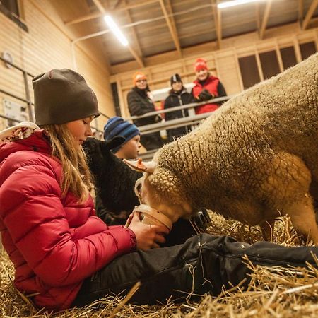 Newly Built Apartment Next Door To The Sheep Norrfjarden エクステリア 写真