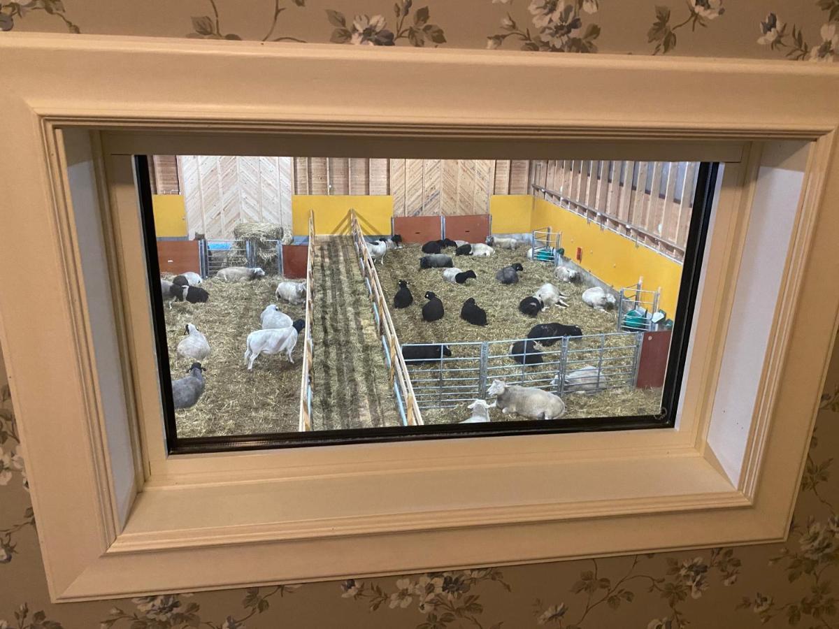 Newly Built Apartment Next Door To The Sheep Norrfjarden エクステリア 写真