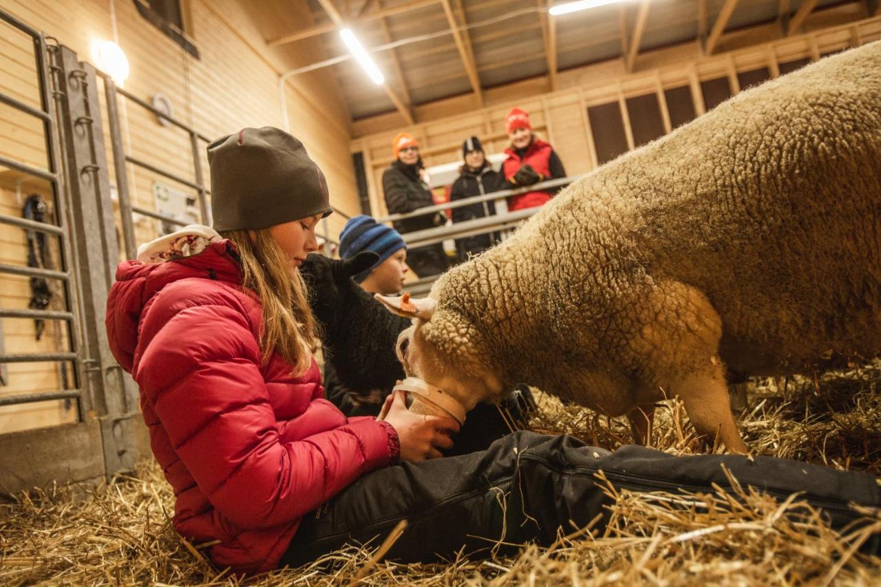 Newly Built Apartment Next Door To The Sheep Norrfjarden エクステリア 写真