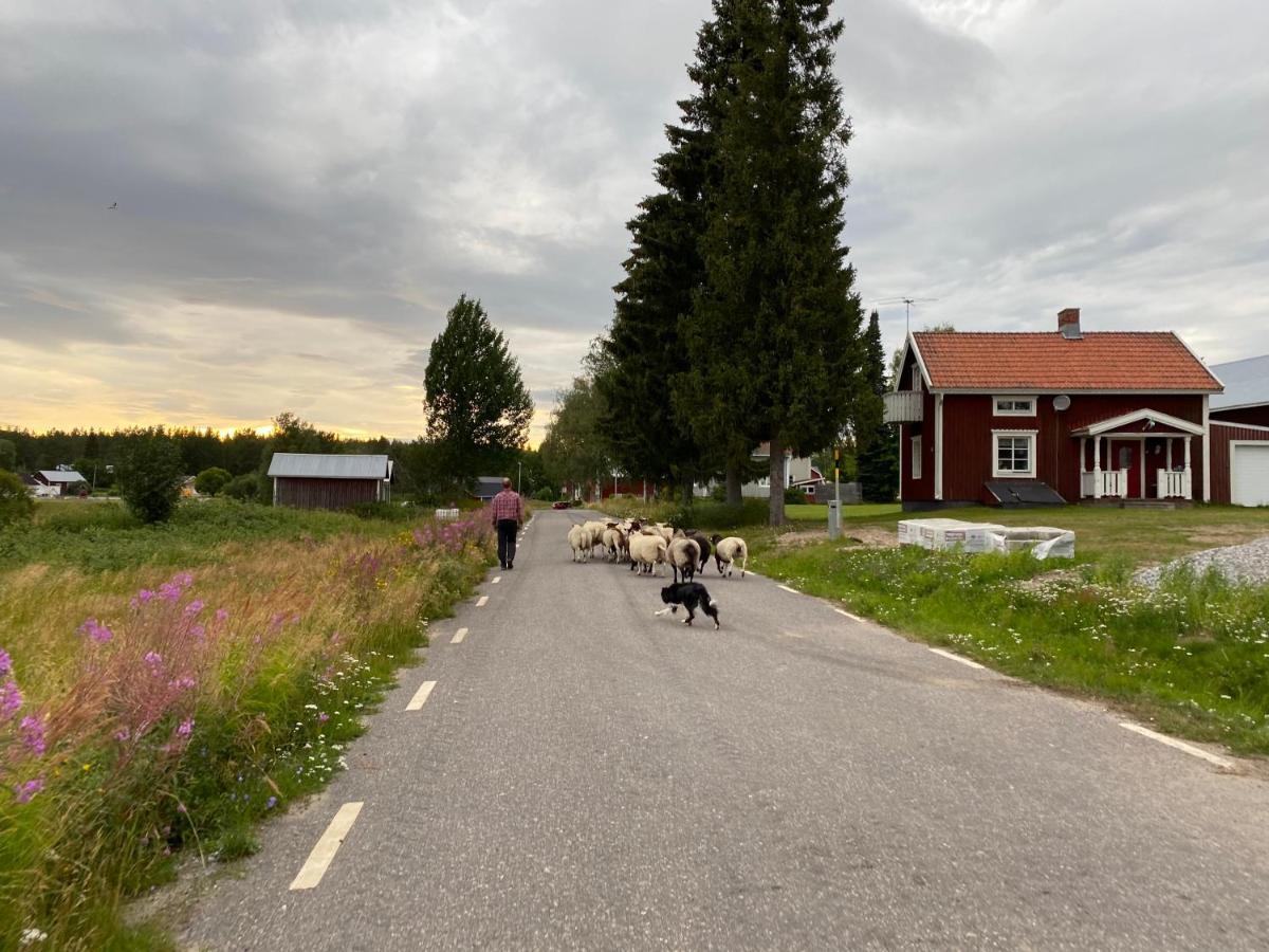 Newly Built Apartment Next Door To The Sheep Norrfjarden エクステリア 写真